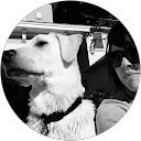 Jen Negron profile picture